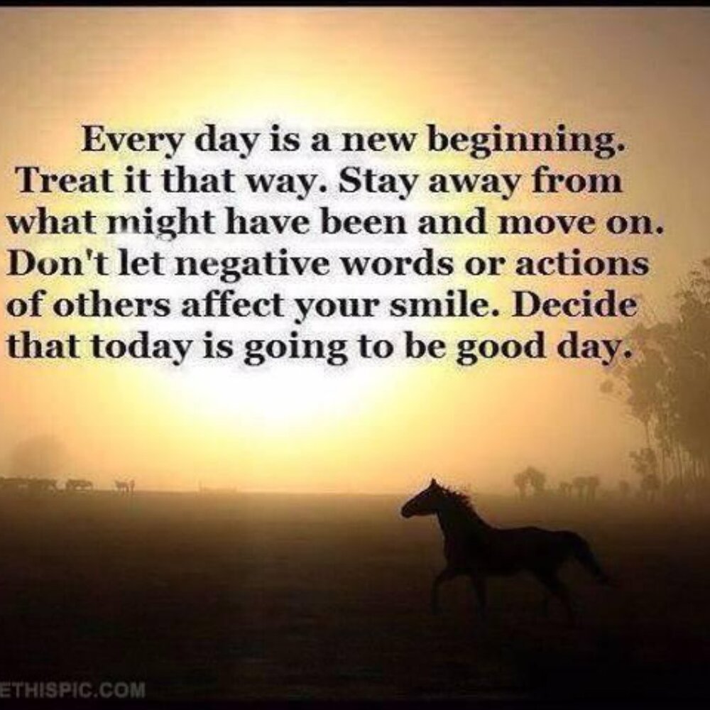 A little COWGIRL MOTIVATION - Picture 10 of 16